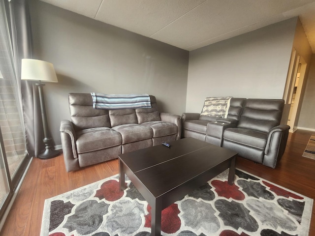 living room with hardwood / wood-style flooring