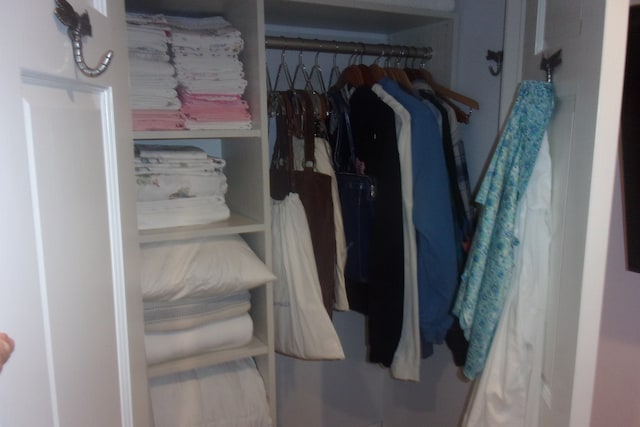 view of closet