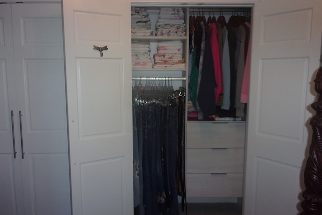 view of closet