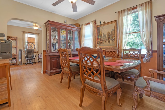 dining area featuring light hardwood / wood-style floors, ornamental molding, and ceiling fan