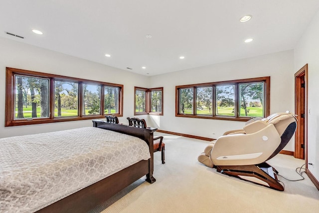 carpeted bedroom with multiple windows