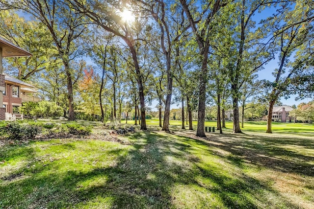132 N Wynstone Dr, North Barrington, IL 60010 - view of green lawn