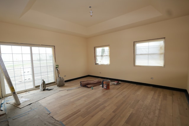 empty room featuring a tray ceiling and light hardwood / wood-style flooring