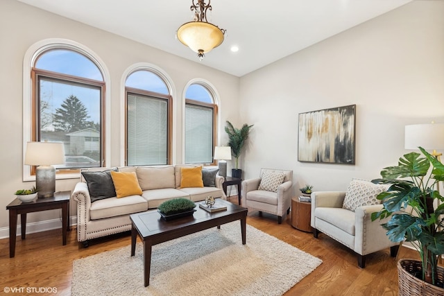 living room featuring hardwood / wood-style floors