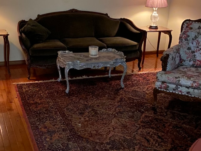 living room with hardwood / wood-style floors