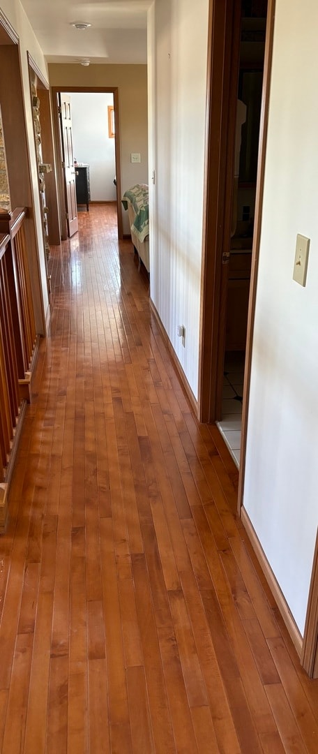 hallway with wood-type flooring