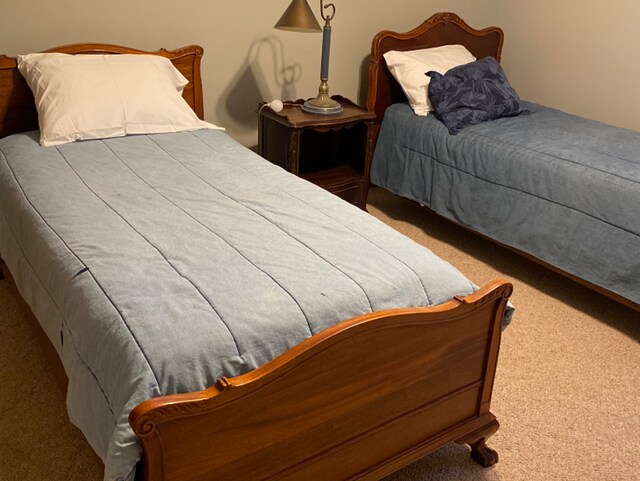 bedroom featuring carpet