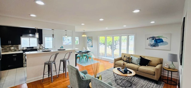 living room featuring light wood-type flooring