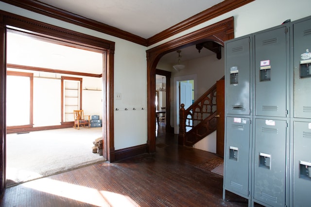 interior space with ornamental molding and dark wood-type flooring