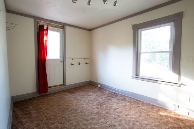 unfurnished room with carpet floors, crown molding, and a healthy amount of sunlight