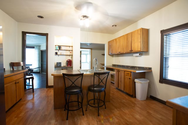 kitchen featuring dark hardwood / wood-style floors, a kitchen island with sink, and a healthy amount of sunlight