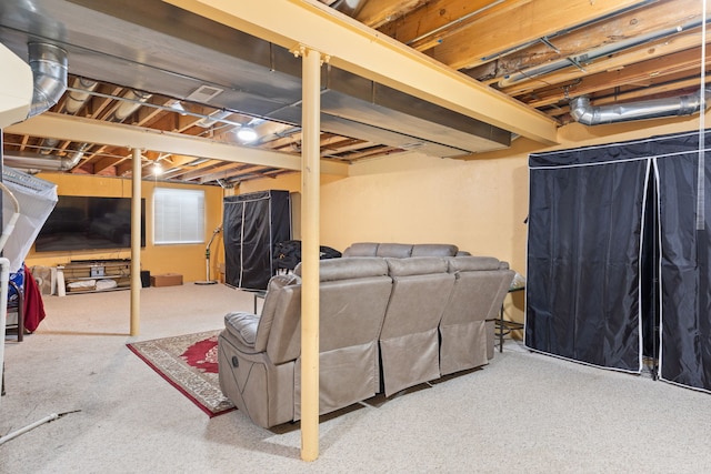 basement featuring carpet floors