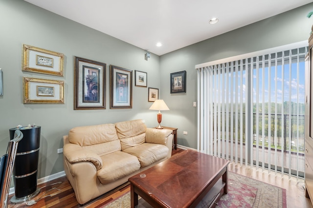 living room featuring dark wood-type flooring