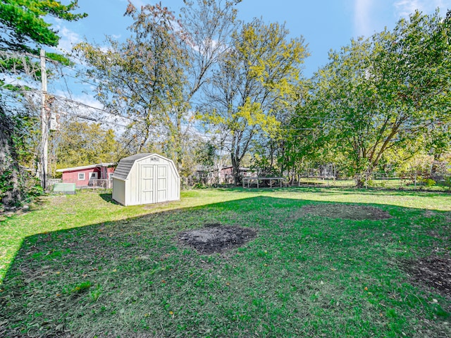 view of yard featuring a storage unit