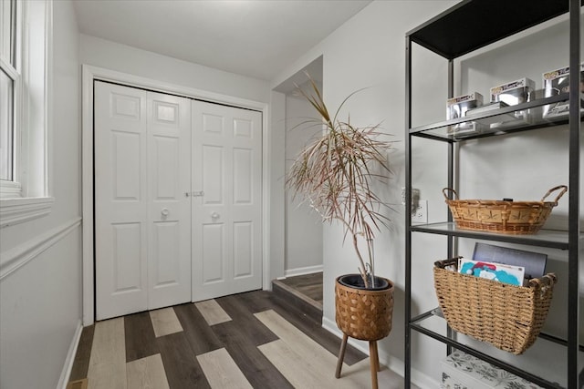 interior space with dark hardwood / wood-style flooring