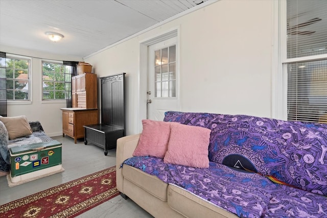 living room featuring crown molding and hardwood / wood-style floors