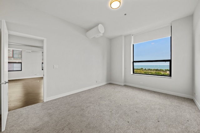 unfurnished room with carpet and a wealth of natural light