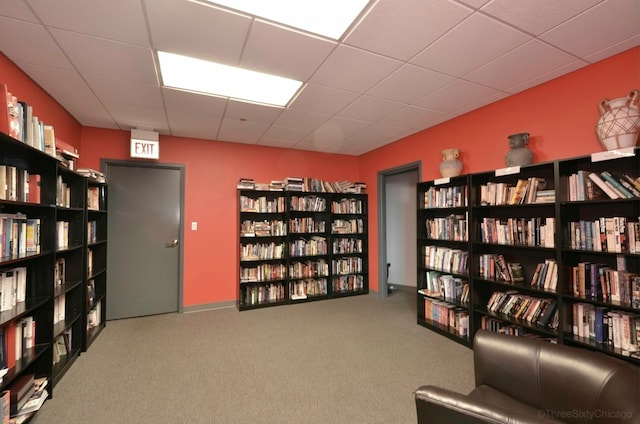 living area featuring a drop ceiling and carpet flooring