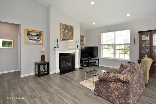 living room with hardwood / wood-style flooring and high vaulted ceiling