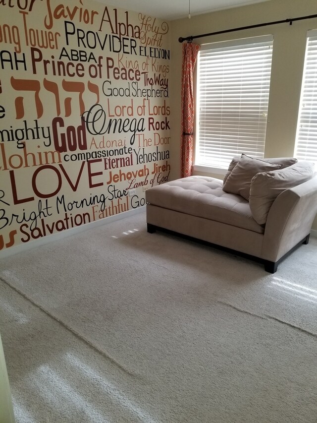 living area with carpet floors