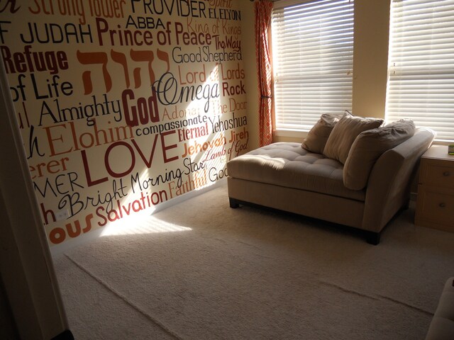 living area with carpet floors