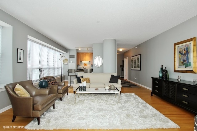 living room with wood-type flooring