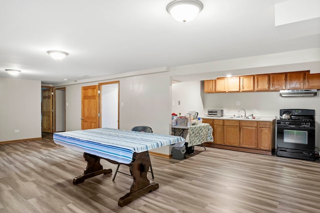 playroom featuring light wood-type flooring and sink