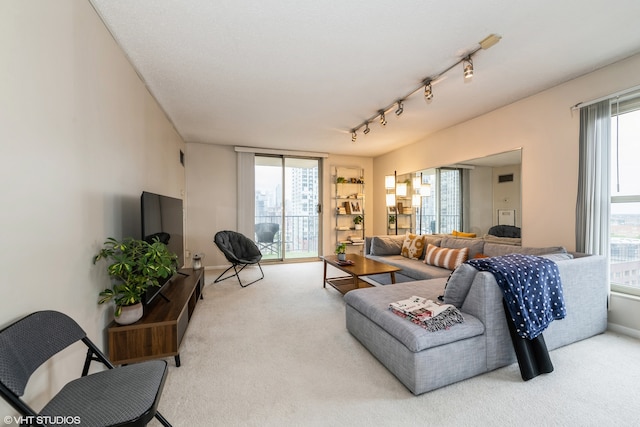 living room with track lighting and carpet floors