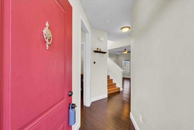 interior space with dark hardwood / wood-style flooring