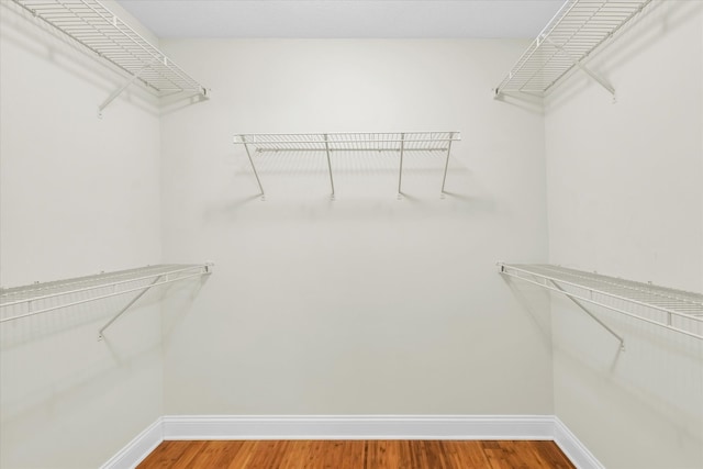 spacious closet with wood-type flooring