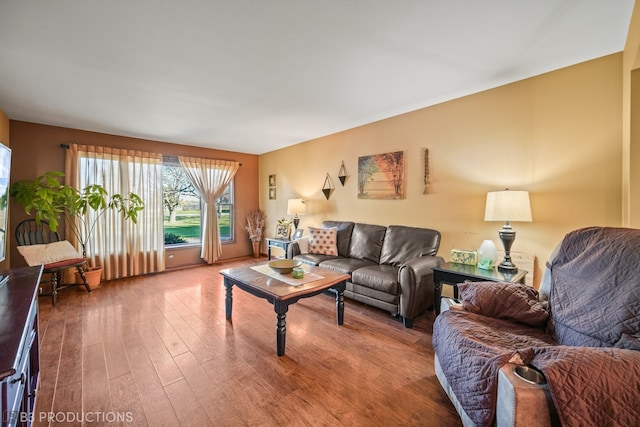 living room featuring hardwood / wood-style floors