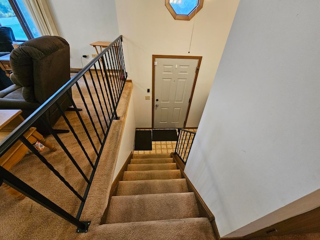 stairs featuring carpet floors