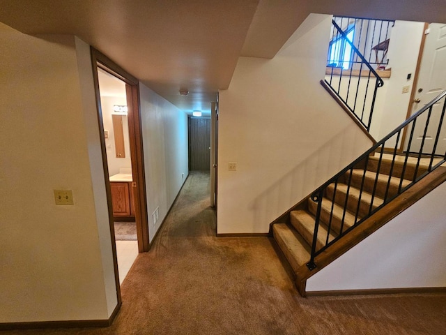 stairs with carpet flooring