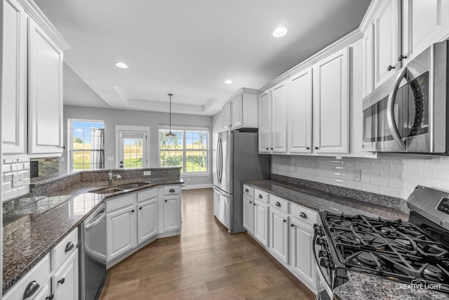 kitchen featuring hanging light fixtures, appliances with stainless steel finishes, dark hardwood / wood-style flooring, and white cabinetry