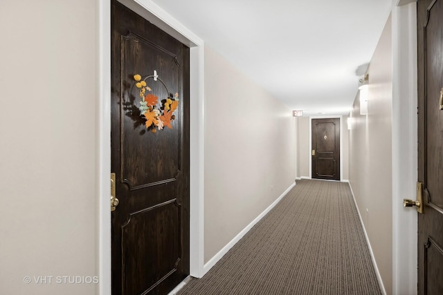 corridor featuring carpet floors