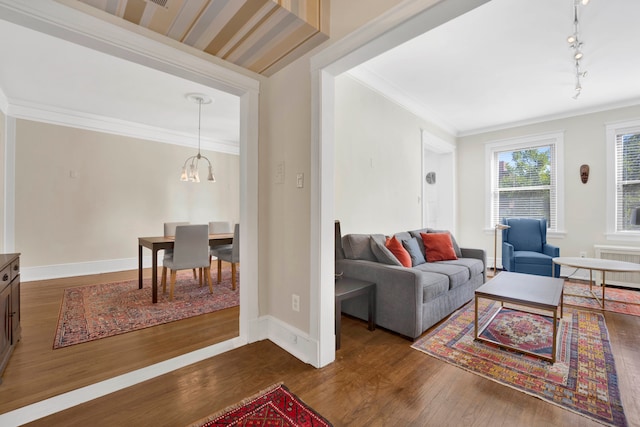 living room with an inviting chandelier, radiator heating unit, crown molding, dark wood-type flooring, and track lighting