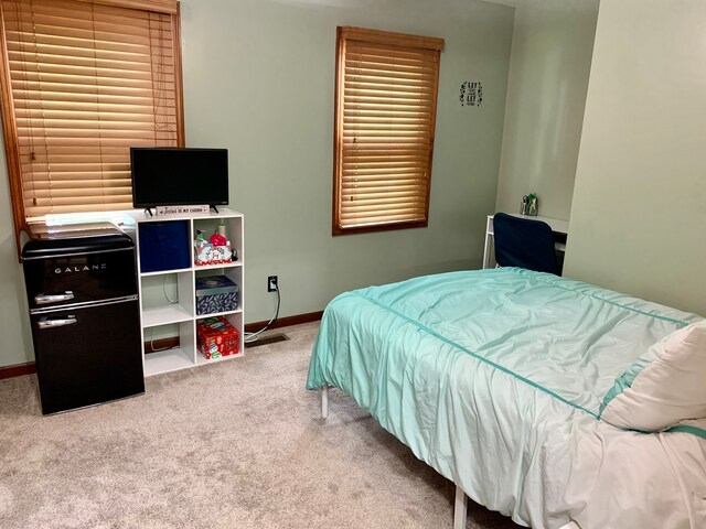 bedroom with carpet floors