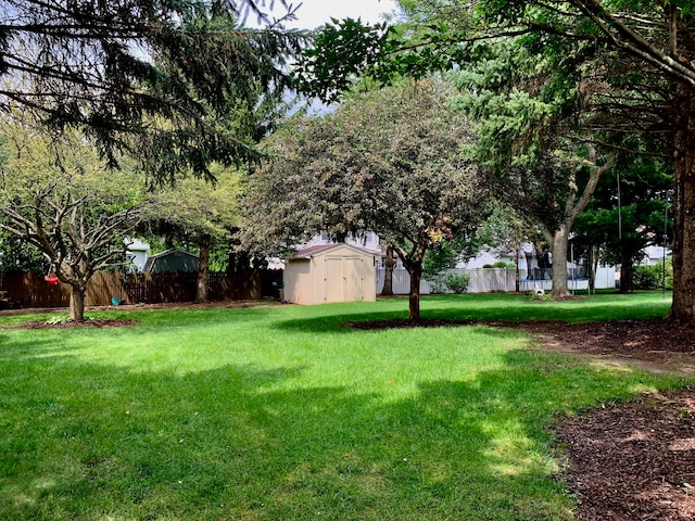 view of yard featuring a storage unit