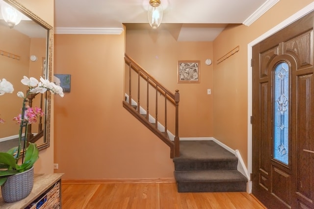 foyer featuring light hardwood / wood-style floors and crown molding