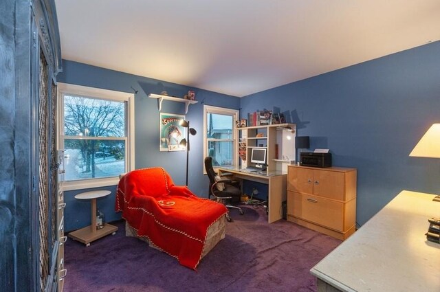 bedroom with dark colored carpet