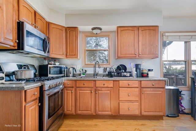 kitchen featuring appliances with stainless steel finishes, sink, and light hardwood / wood-style floors