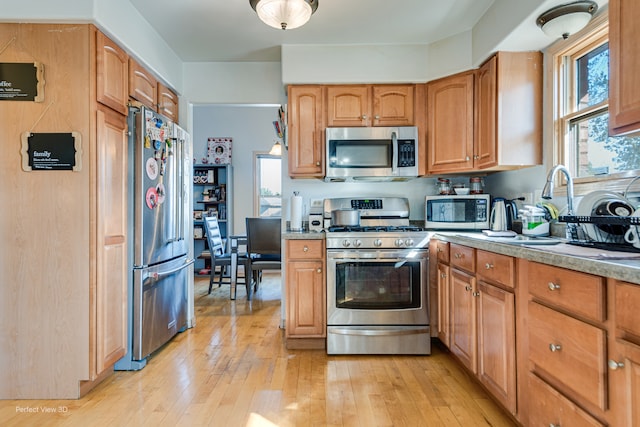 kitchen with stainless steel appliances and light wood-type flooring