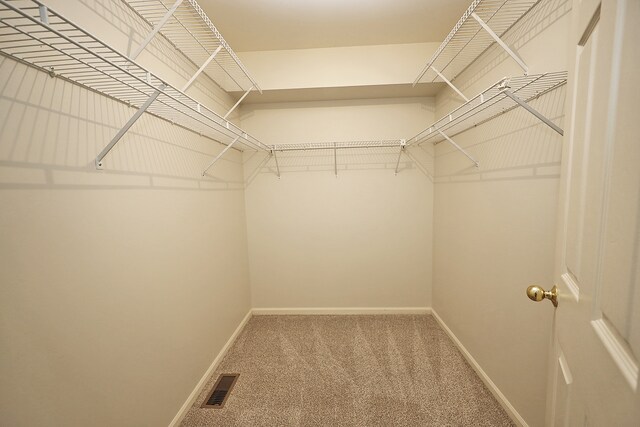 walk in closet featuring carpet