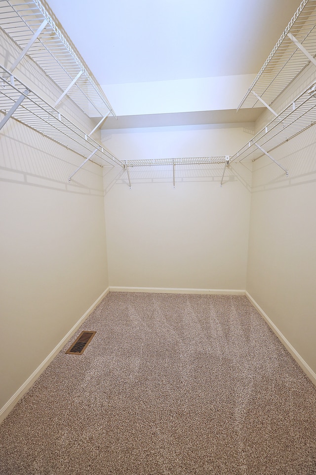 spacious closet with carpet flooring