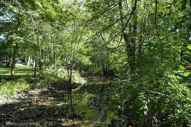 view of landscape