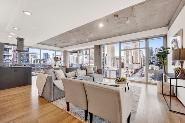 living room with light hardwood / wood-style floors and sink