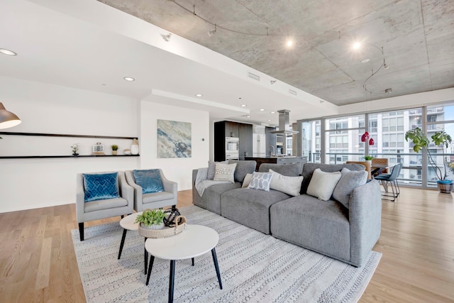 living room with light wood-type flooring