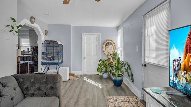 living room featuring ceiling fan and light wood-type flooring