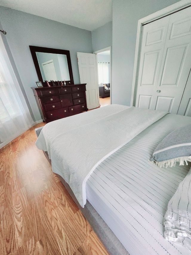 bedroom featuring multiple windows, light hardwood / wood-style floors, and a closet