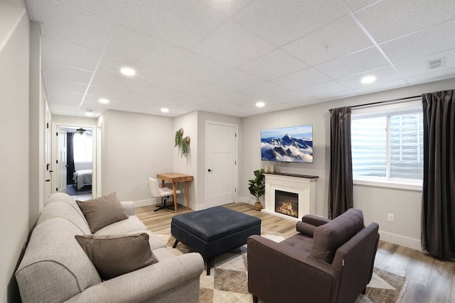 living room with a paneled ceiling and light hardwood / wood-style floors